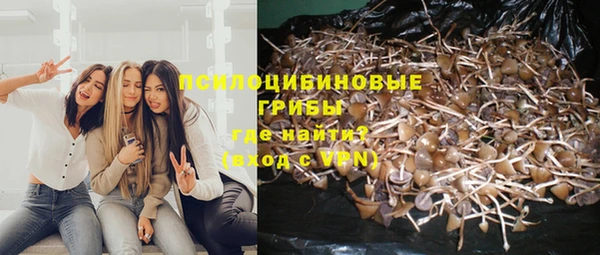mdpv Беломорск